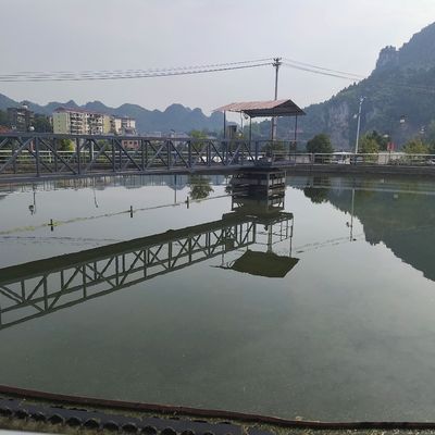 Μισός γεφυρών λάσπης μεταλλουργικών ξυστρών χάλυβας άνθρακα Drive εξοπλισμού περιφερειακός